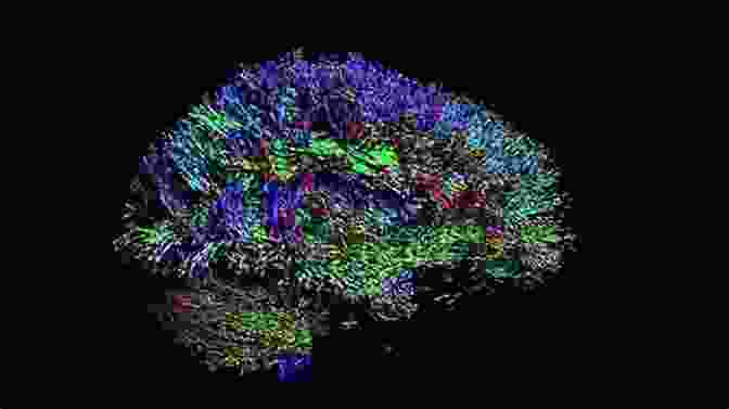 A Brain Scan Revealing The Complex Neural Networks Underlying Cognition The Emotional Foundations Of Personality: A Neurobiological And Evolutionary Approach