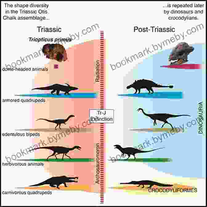 A Graphic Depicting The Evolution Of Dinosaurs Science Comics: Dinosaurs: Fossils And Feathers