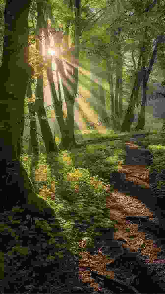 A Serene Forest Path With Sunlight Filtering Through The Canopy, Creating A Magical Atmosphere. Escape From The Dragon Czar: An Aegis Of Merlin Story