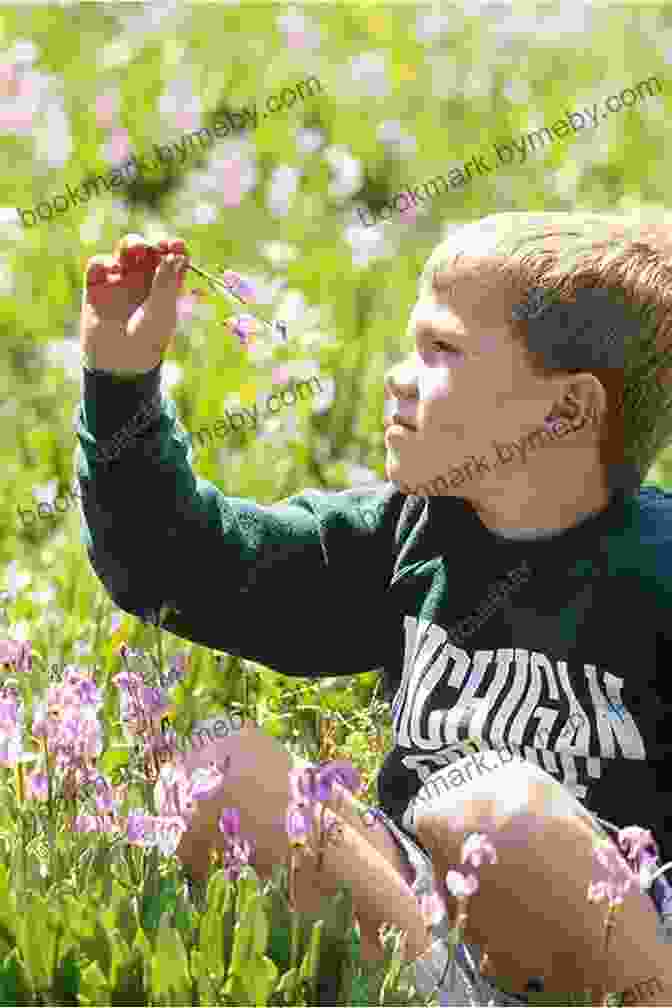 A Young Boy Stands In A Field Of Wildflowers, Looking Up At The Sky With A Look Of Wonder And Joy. Memories Of An Indian Boyhood (Mint Editions Native Stories Indigenous Voices)