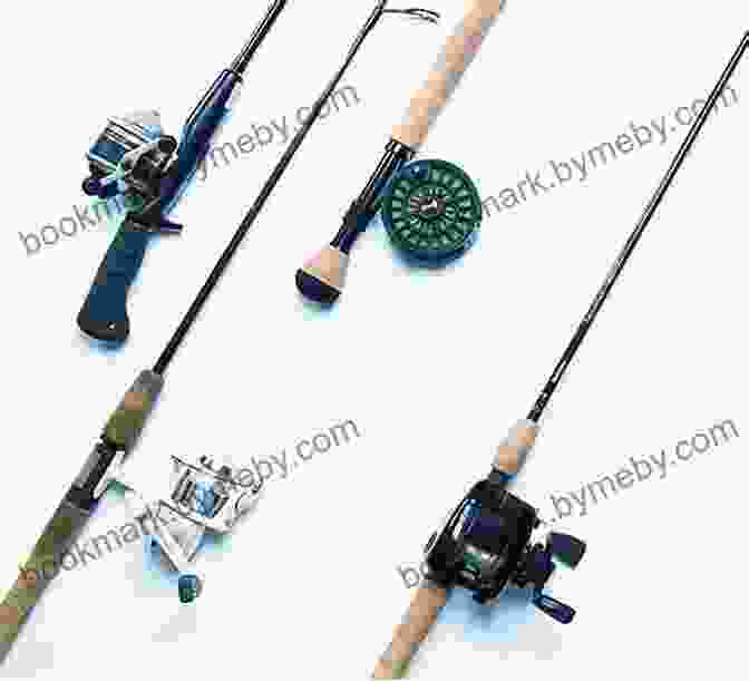 An Assortment Of Fishing Rods, Reels, Lures, And Bait Essential For Beginner Anglers. Jack S Field Guide To Fishing For Beginners: Freshwater Fishing Angling Boat Fishing Shore Fishing Fishing Gear Knot Tying Safety Etiquette Fish Species Staying Legally Compliant