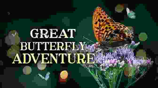 Butterfly Adventure It S A Jungle Out There : 52 Nature Adventures For City Kids