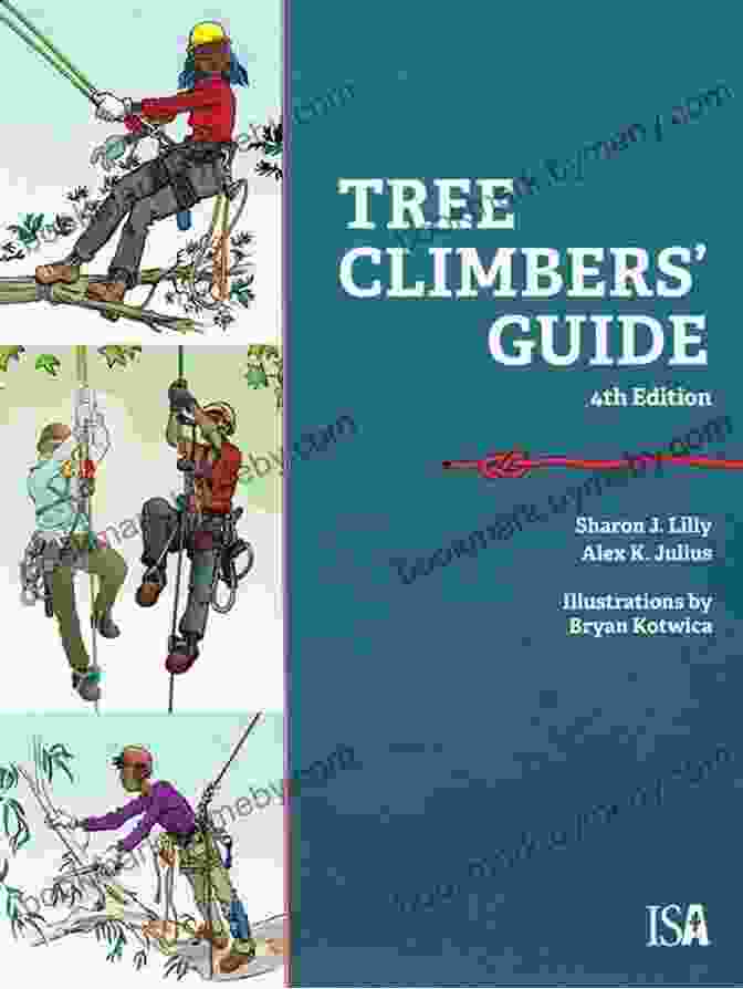 Climbing Guide 4th Edition Book Cover Olympic Mountains: A Climbing Guide (Climbing Guide) 4th Edition