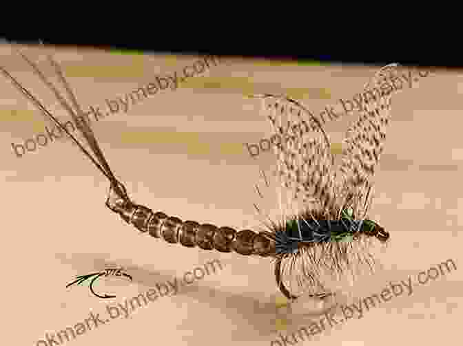 Close Up Of Fly Fishing Flies How To Improve Your Fly Fishing Catching (Fly Fishing For Trout)