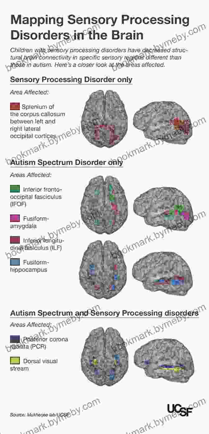 Cognitive Processing In The Autistic Mind The Autistic Mind Finally Speaks: Letterboard Thoughts