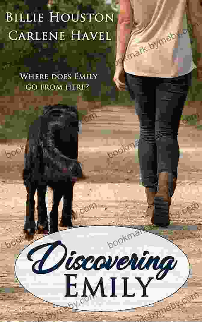 Cover Of Discovering Emily Orca: Young Readers Discovering Emily (Orca Young Readers)