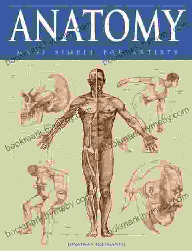 Cover Of The Book Anatomy For Artists Made Easy Anatomy For Artists Made Easy (Made Easy (Art))