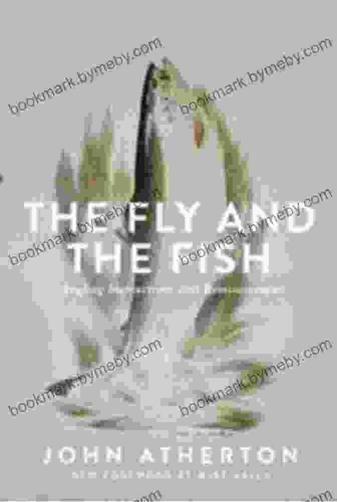 Cover Of The Fly And The Fish: Angling Instructions And Reminiscences