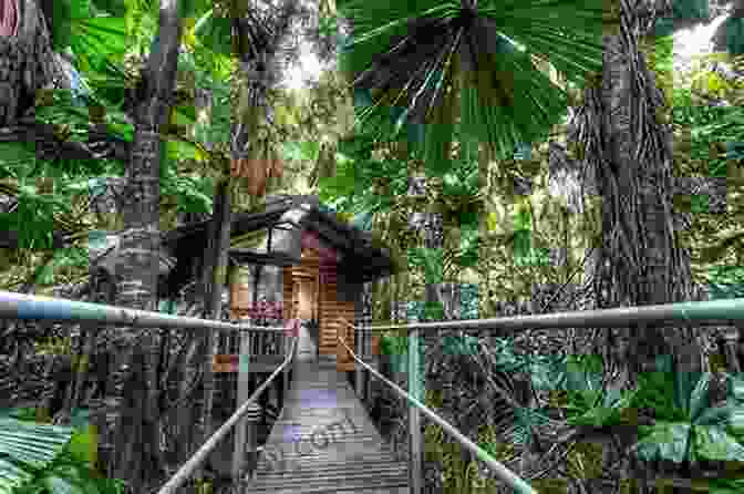 Eco Lodge Nestled In A Lush Rainforest With Wooden Cabins And A Serene Pool Insight Guides Explore Costa Rica (Travel Guide EBook)