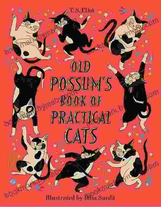 Fixed Layout Format Old Possum Cats Book Cover Mr Mistoffelees: Fixed Layout Format (Old Possum S Cats 2)