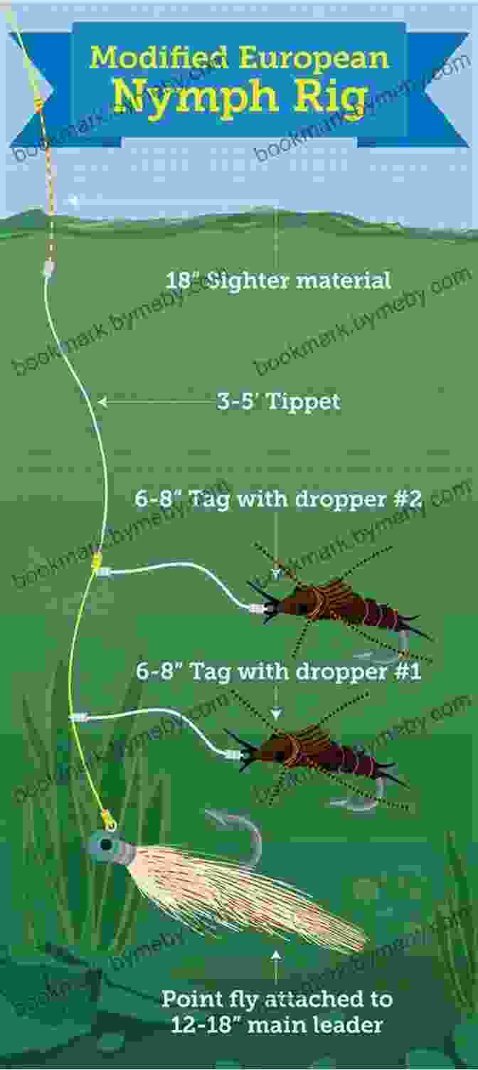 Fly Fisher Casting A Nymph Rig How To Improve Your Fly Fishing Catching (Fly Fishing For Trout)