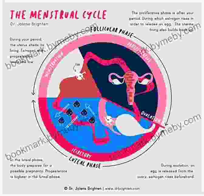 Hormonal Imbalances Can Disrupt The Menstrual Cycle And Prevent Conception. Female Infertility What You Should Know