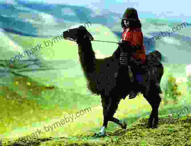 Jack And Annie Riding Llamas In The Andes Mountains Late Lunch With Llamas (Magic Tree House (R) 34)