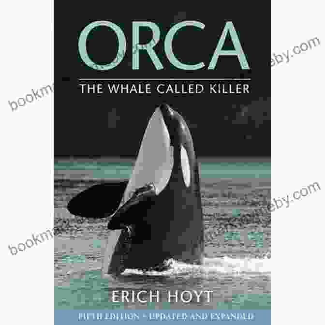 Orca Book Cover By Irakli Makharadze Orca Irakli Makharadze