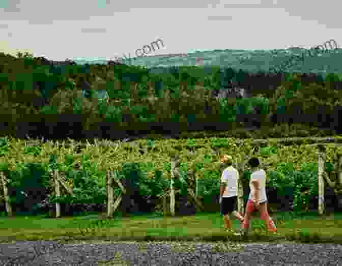 Renowned Vineyards In The Eastern Townships Of Quebec Eastern Townships Quebec Interactive Guide: English French And Chinese (Canada Travel 99)