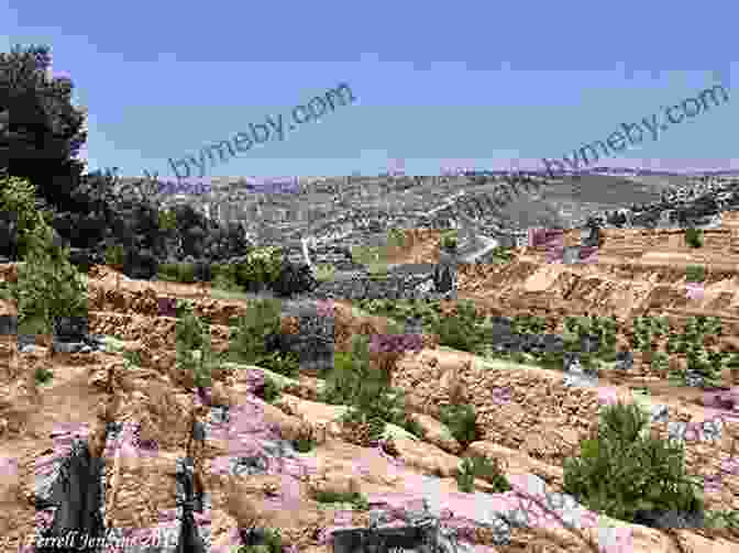 Rock Formation In Shepherd's Fields A Savior Is Born: Rocks Tell The Story Of Christmas