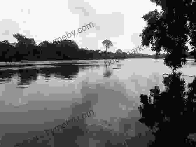 Scenic Image Of The Suriname River, Showcasing Its Meandering Path Through The Lush Rainforest. A Cruising Guide To French Guiana Suriname And Guyana