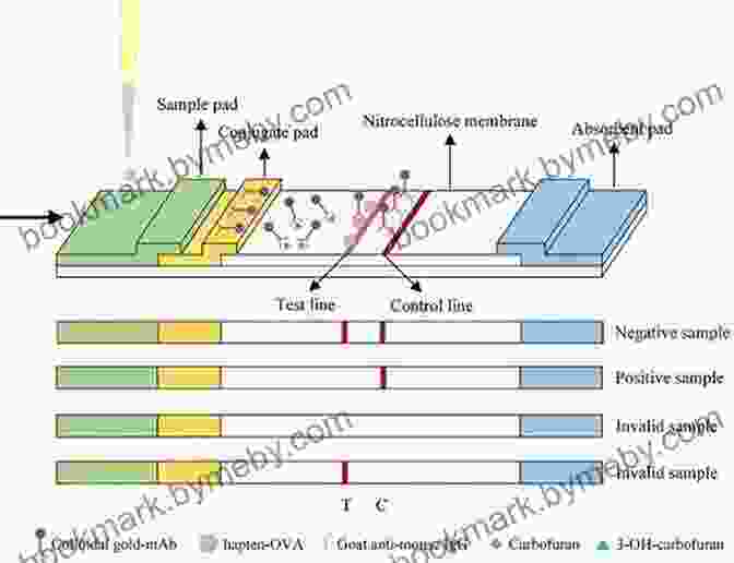 Schematic Illustration Of A Colloidal Gold Based Electronic Device Colloidal Gold: Principles Methods And Applications (Colloidal Gold Three Volume Set)