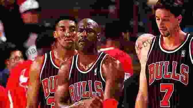 Scottie Pippen Superstars Of The Chicago Bulls (Pro Sports Superstars (NBA))