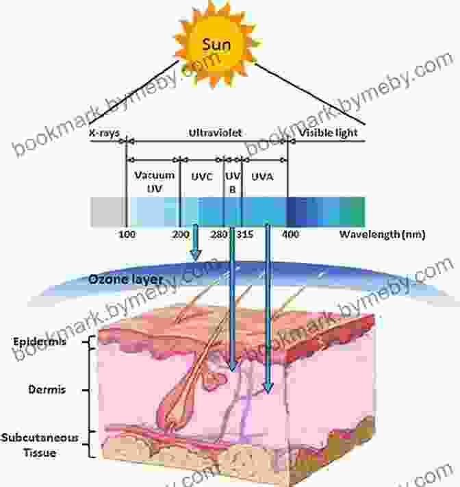 Sun Exposure And Skin Color Adaptation The Origins Of Races And Color