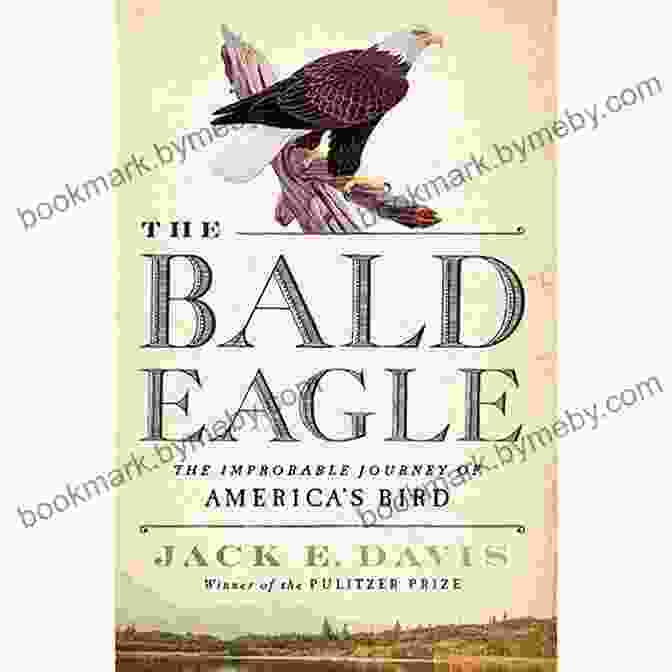 The Improbable Journey Of America Bird Book Cover, Featuring A Vibrant Painting Of A Young Woman Standing In The Wilderness, Surrounded By Birds. The Bald Eagle: The Improbable Journey Of America S Bird