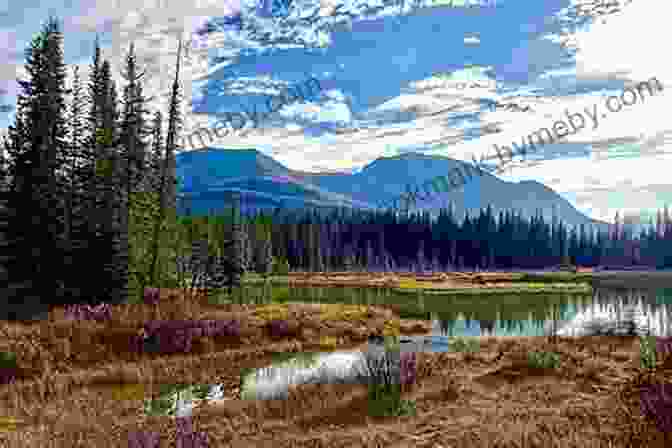 Tranquil Lake Surrounded By Lush Forest New Zealand Calling J D Robb