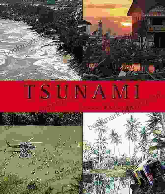 Tsunami Book Cover Featuring A Shattered Family Torn Apart By The Disaster Tsunami (Rachel Hatch 9) L T Ryan