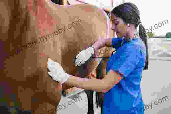 Veterinarian Examining A Horse, Emphasizing The Importance Of Early Detection And Proper Treatment Of Equine Diseases. The Biggle Horse Book: A Concise And Practical Treatise On The Horse Adapted To The Needs Of Farmers And Others Who Have A Kindly Regard For This Noble Servitor Of Man