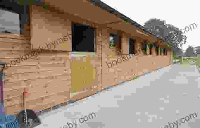 Well Maintained Horse Stable, Showcasing Proper Ventilation, Adequate Space, And Comfortable Bedding. The Biggle Horse Book: A Concise And Practical Treatise On The Horse Adapted To The Needs Of Farmers And Others Who Have A Kindly Regard For This Noble Servitor Of Man