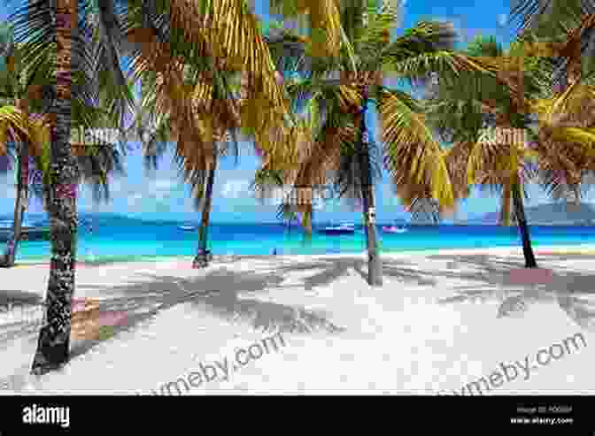 White Sand Beach With Palm Trees In St. Vincent And The Grenadines St Vincent And The Grenadines Tourism: Travel Guide To St Vincent And The Grenadines