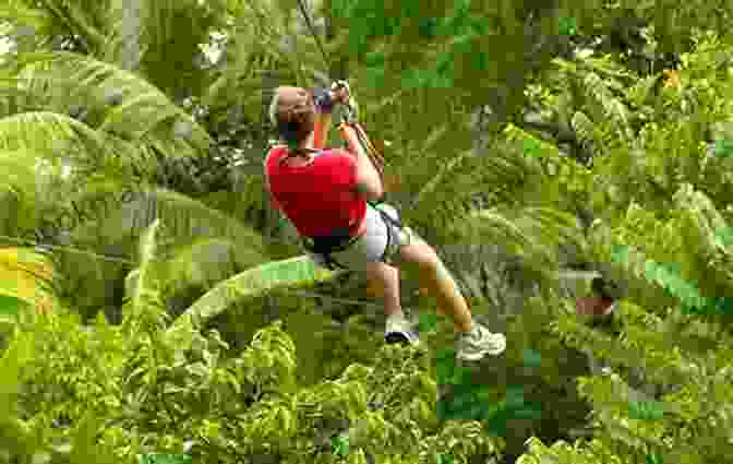 Zip Lining Through The Rainforest At Loterie Farm, Sint Maarten Sint Maarten (Saint Martin) Travel Guide: The Top 10 Highlights In Sint Maarten (Saint Martin) (Globetrotter Guide Books)