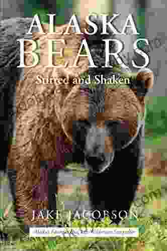 Alaska Bears: Shaken And Stirred