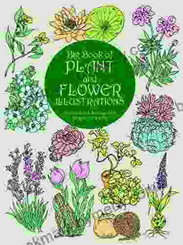 Big Of Plant And Flower Illustrations (Dover Pictorial Archive)