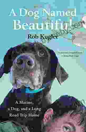 A Dog Named Beautiful: A Marine A Dog And A Long Road Trip Home