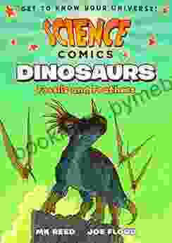 Science Comics: Dinosaurs: Fossils And Feathers