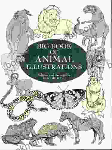 Big Of Animal Illustrations (Dover Pictorial Archive)