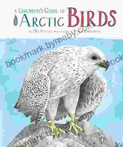 A Children S Guide To Arctic Birds